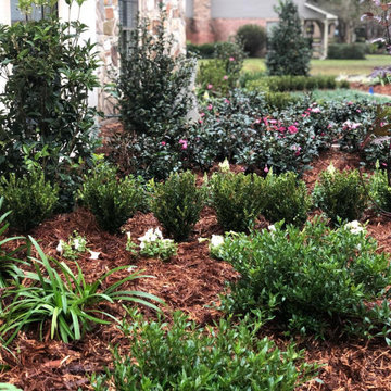 Landscape & Plant Designs