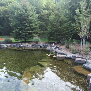 Swimming Pond