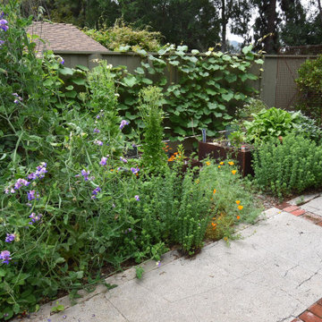 La Cañada Flintridge Resilient Homestead