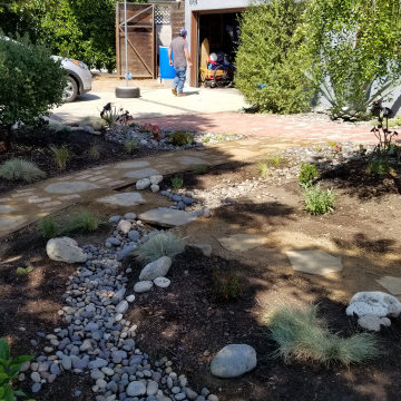 Culver City native garden refresh