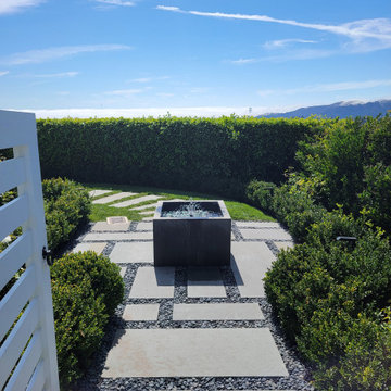 Tranquility in Tiburon