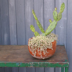 We Love Making Planters - Outdoor Decor