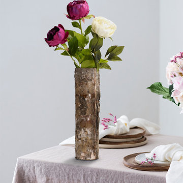 Serene Spaces Living Small Glass Interior Cylindrical Birch Bark Vase