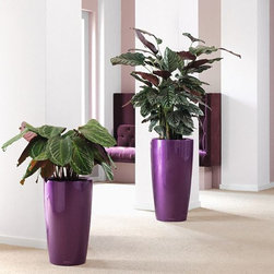 Rondo Premium 32 - Outdoor Decor