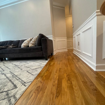 Home Improvement - Wainscoting + crownmoden + high-ending painting