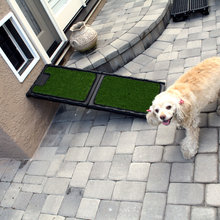 dog door
