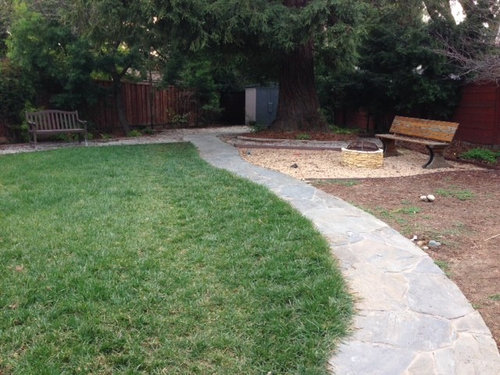 Need help landscaping back yard