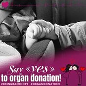 Sandra Brereton's photo