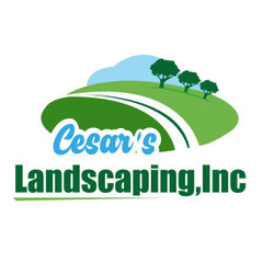 Cesar's Lawn & Landscaping, Inc