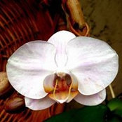 Photo de Pam Marquez