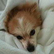 Lynn Mullaney's photo