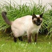 June Archibeque's photo