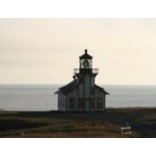 Angela Whitcomb's photo