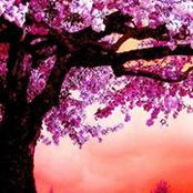 Daniela Tomazela's photo