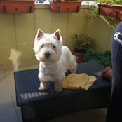 Adrian Bogdan's photo