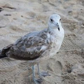 Donna Flade's photo