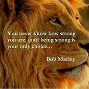 Gerri Moseley's photo