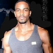 King Jays foto