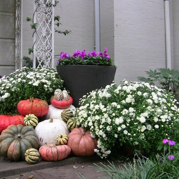 Fall Seasonal Pumpkin Display