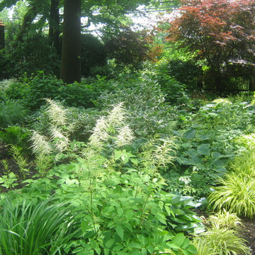 u2014 ALE: Fishers Woodland Garden