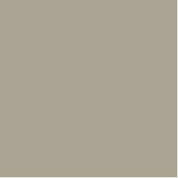 Benjamin Moore Sandy Hook Gray HC-108 - Paint