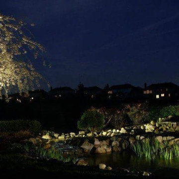 Landscape and Architectural Lighting