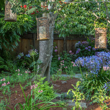 My Houzz: Colorful Garden Oasis in Marin County