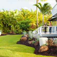 Backyard ideas