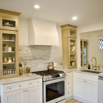 Luxury Kitchen Remodel