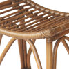 New Pacific Direct Imarti 24" Rattan Counter Stool in Canary Brown/Black Washed