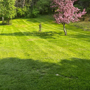 Professional Lawn Care & Mulch Installation
