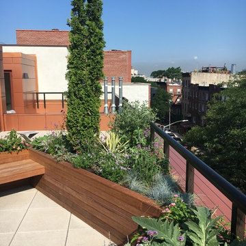 Rooftop garden 5