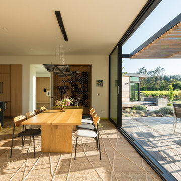 Vineyard Oasis