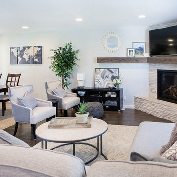 Clarkson Street Living Room + Fireplace Renovation