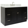 Ariel Hamlet 55" Oval Sink Bath Vanity, Black, 0.75" Carrara Marble