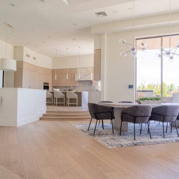 Las Vegas Promontory @ the Ridges Fresh Classic Contemporary Remodel