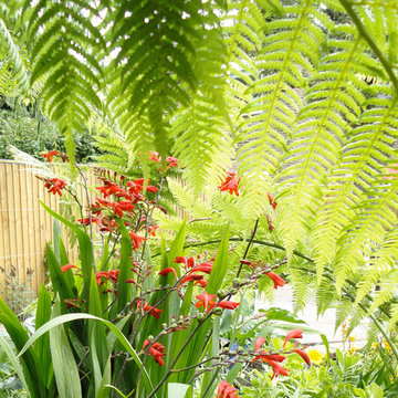 Pool garden