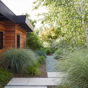 Los Gatos Garden