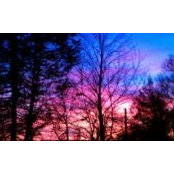 Cassandra Melinnis's photo