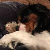 Foto von Heidi Ratliff