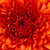 Stephanie Shankles's photo