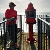 Meike Busch's photo