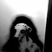 Photo de Claire Secco
