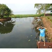 Manuraj Johar's photo