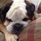Michaelene Griffin's photo