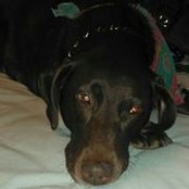 Krystal Rosenbach-Esparza's photo