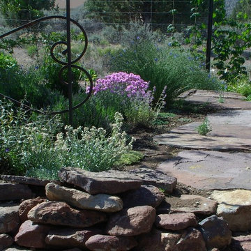 residential gardens with native plants