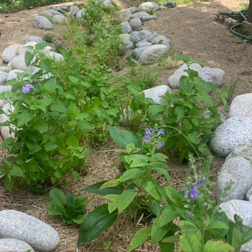 Native Plant Landscaping, Hardscaping, and Bioswales