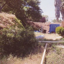 Redwood Deck