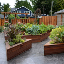 Back Yard landscape
